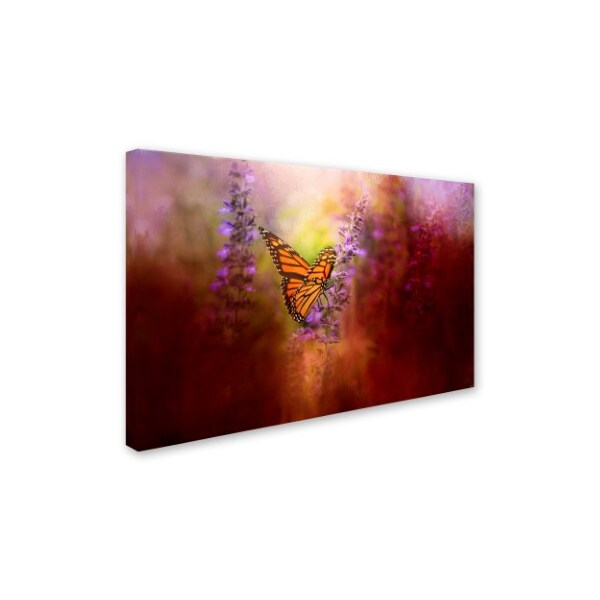 Jai Johnson 'Autumn Monarch' Canvas Art,16x24